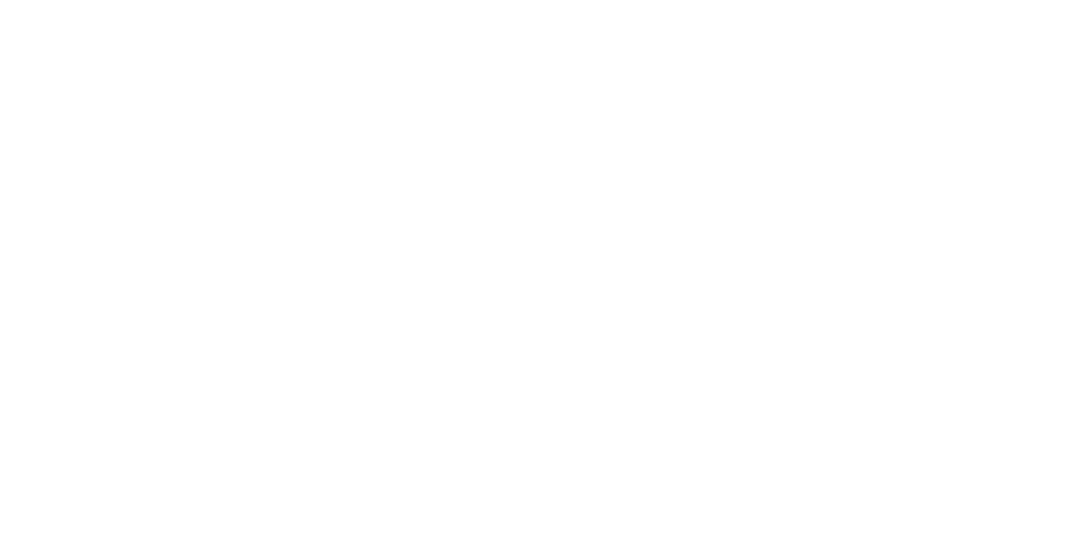 Palo Alto Networks
